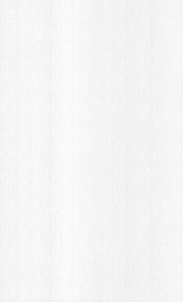 Arte Flamant Les Unis 78028  (incl. Gratis Lijm*)