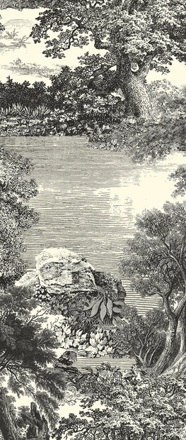 Masureel Amazone DGSAL1011-300  (incl. Gratis Lijm*)