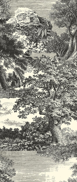 Masureel Amazone DGSAL1013-260  (incl. Gratis Lijm*)