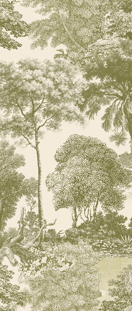 Masureel Amazone DGSAL1032-300  (incl. Gratis Lijm*)