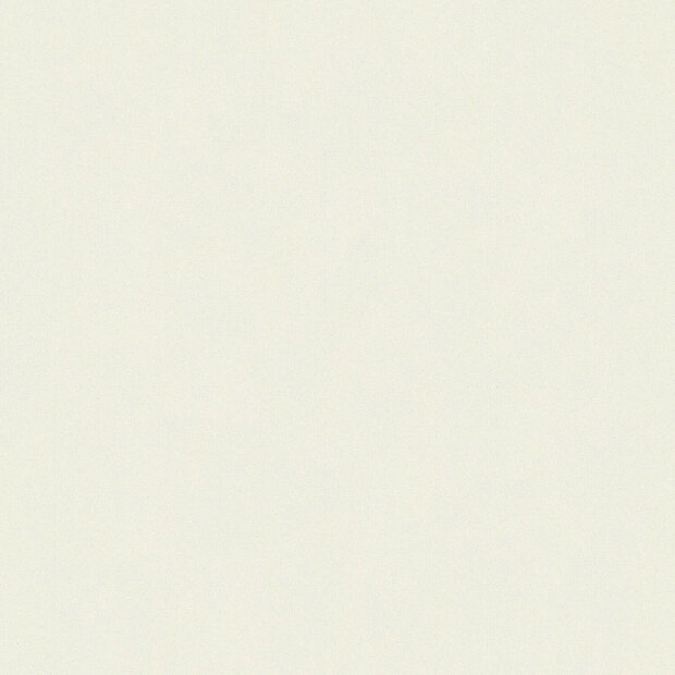 AS Creation Trendwall | 3690-86 / 369086