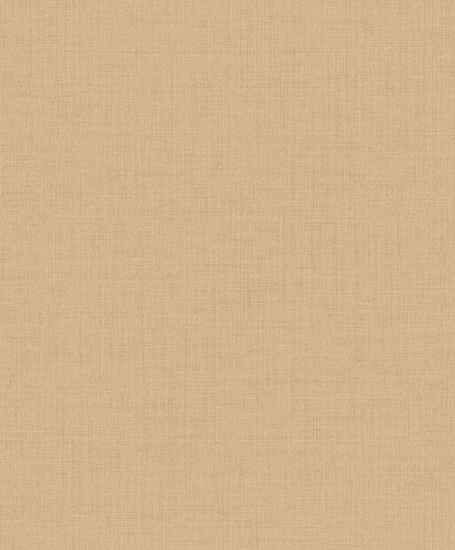 Dutch Wallcoverings Little Dreamers LD1021