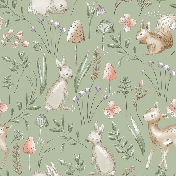 Dutch First Class World of Imagination DL27547