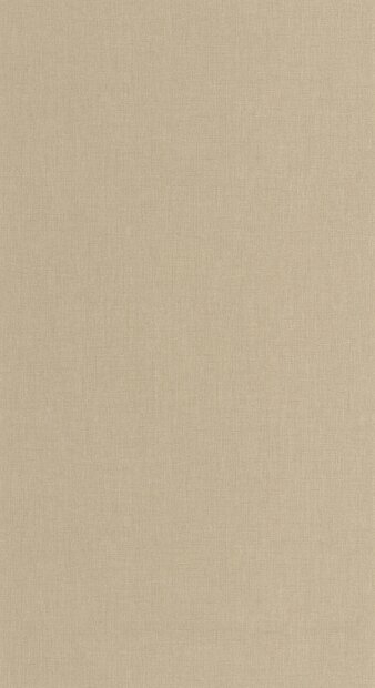 Casadeco Caractere CARA201171414 (incl. Gratis Lijm*) Beige