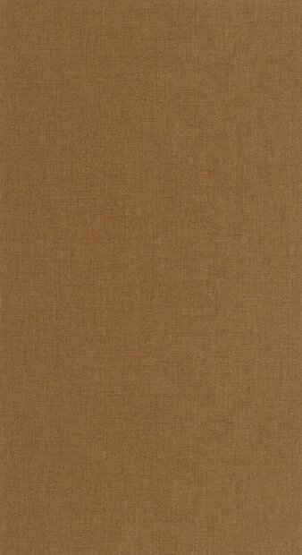 Casadeco Caractere CARA201172424 (incl. Gratis Lijm*) Bruin