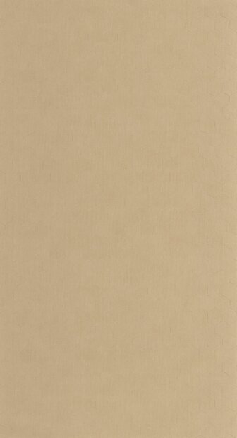 Casadeco Solaris SOLA201911860 (incl. Gratis Lijm*) Beige
