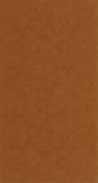 Casadeco Solaris SOLA201913000 (incl. Gratis Lijm*) Terracotta