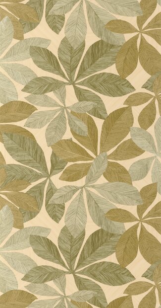 Caselio Woodline WOD106837070 (incl. Gratis Lijm*) Groen
