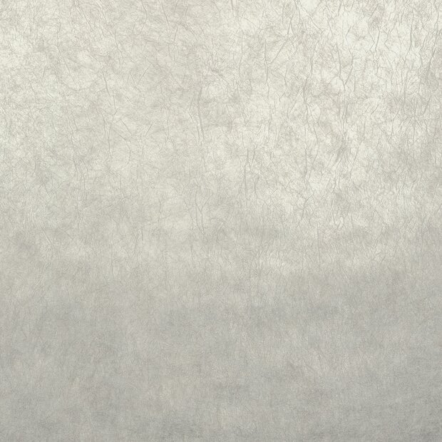 Casamance Impulsion 71880106 (incl. Gratis Lijm*) Grijs