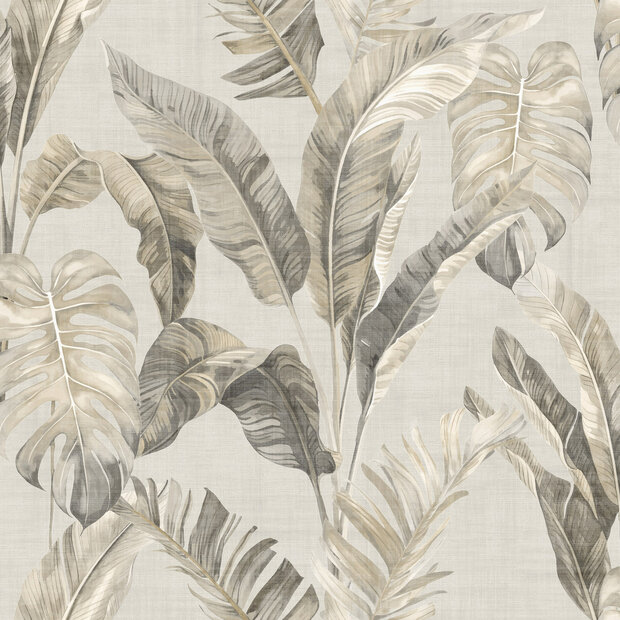 Arthouse Signature 3 100390AH Cr&egrave;me / Beige