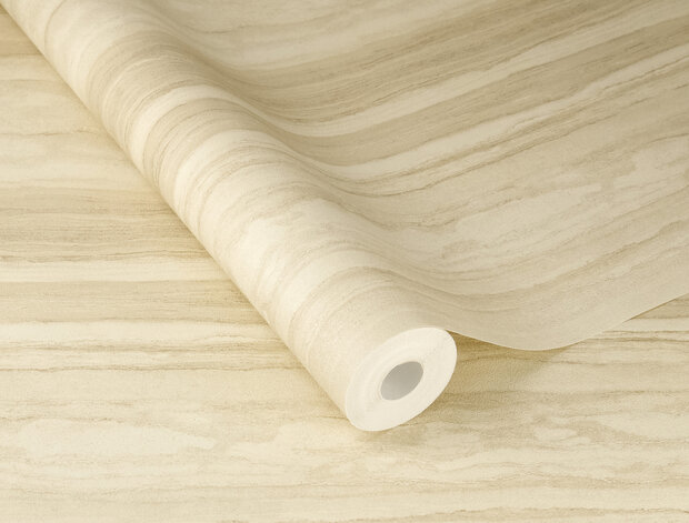 Rasch Factory VI 497335 Beige