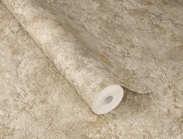 Rasch Factory VI 497526 Beige