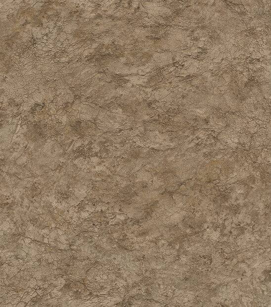 Rasch Factory VI 497540 Bruin