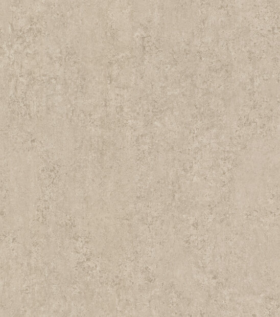 Rasch Factory VI 498431 Beige