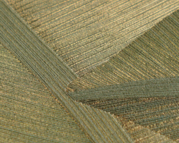 AS Creation Vibes &amp; Styles 79039-4 Groen