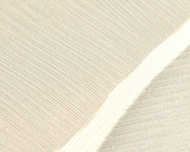 AS Creation Vibes &amp; Styles 79039-5 Cr&egrave;me