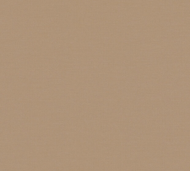 AS Creation PintWalls III 39098-3 Bruin