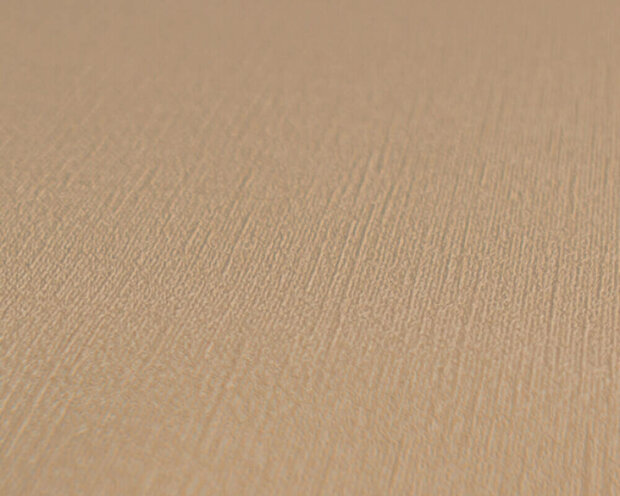 AS Creation PintWalls III 39098-3 Bruin