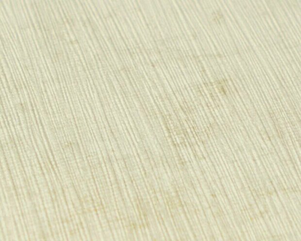 AS Creation PintWalls III 79152-4 Groen