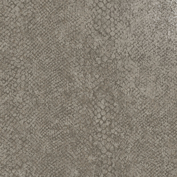 Dutch First Class Essence 66281 (incl. Gratis Lijm*) Grijs