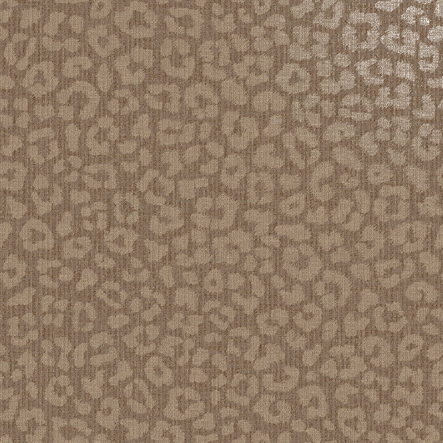 Dutch First Class Essence 66301 (incl. Gratis Lijm*) Oranje