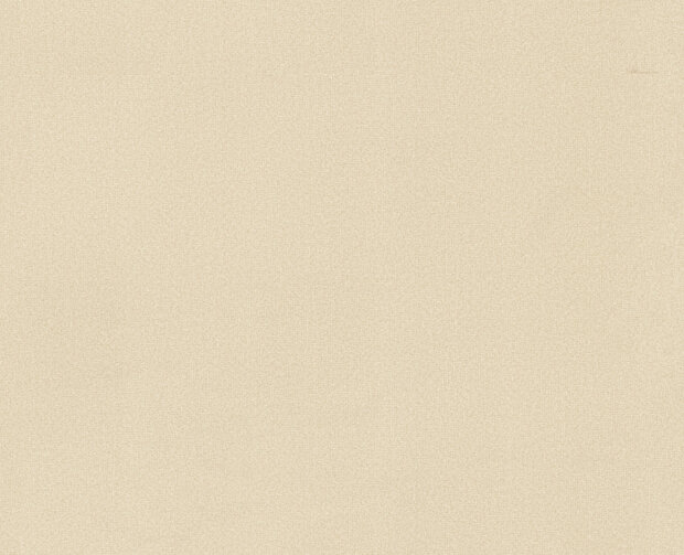 Dutch First Class Blumarine 6 BM31031 (incl. Gratis Lijm*)