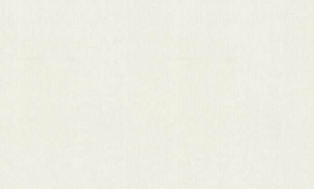 Dutch First Class Blumarine 6 BM31049 (incl. Gratis Lijm*)