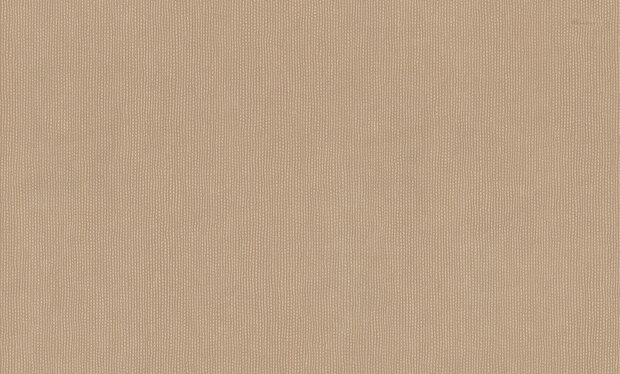 Dutch First Class Blumarine 6 BM31051 (incl. Gratis Lijm*)