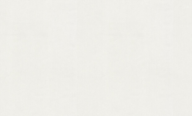 Dutch First Class Blumarine 6 BM31052 (incl. Gratis Lijm*)