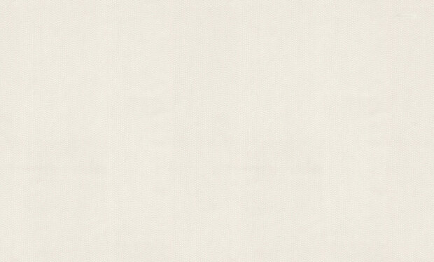 Dutch First Class Blumarine 6 BM31053 (incl. Gratis Lijm*)