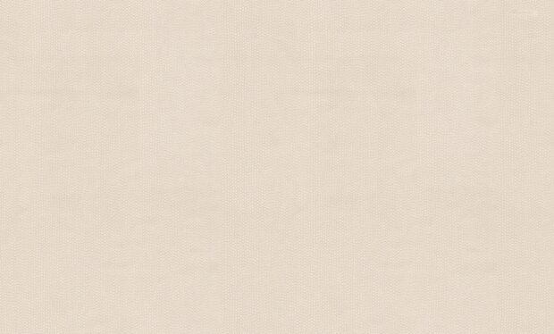 Dutch First Class Blumarine 6 BM31054 (incl. Gratis Lijm*)