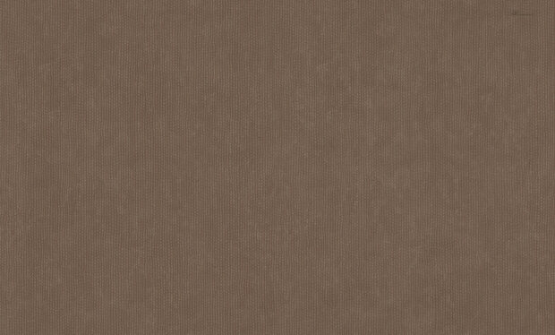 Dutch First Class Blumarine 6 BM31056 (incl. Gratis Lijm*)