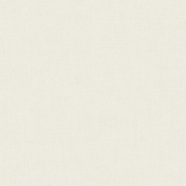 Dutch Wallcoverings Concept N058-07 Beige