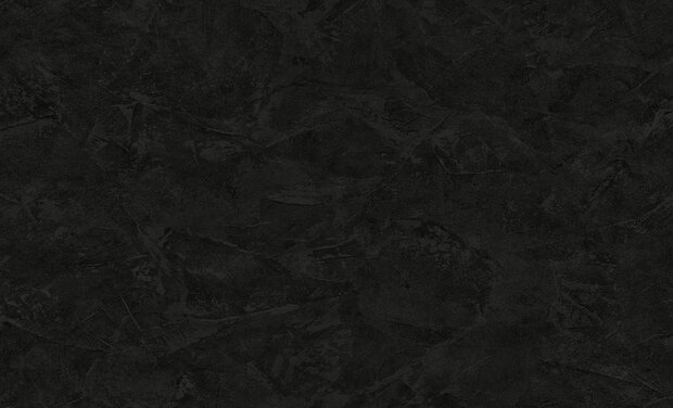 Dutch Wall Decor Philipp Plein 2 Z81003