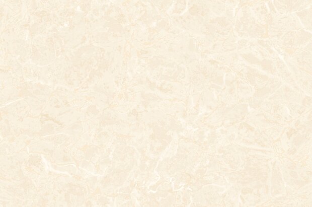 Dutch Wall Decor Philipp Plein 2 Z81013