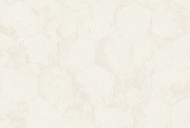 Dutch Wall Decor Philipp Plein 2 Z81026