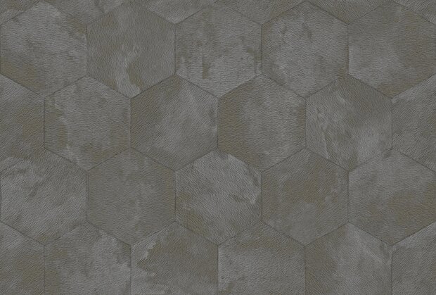 Dutch Wall Decor Philipp Plein 2 Z81027