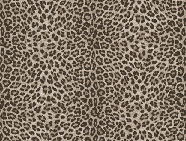 Dutch Wall Decor Philipp Plein 2 Z81028