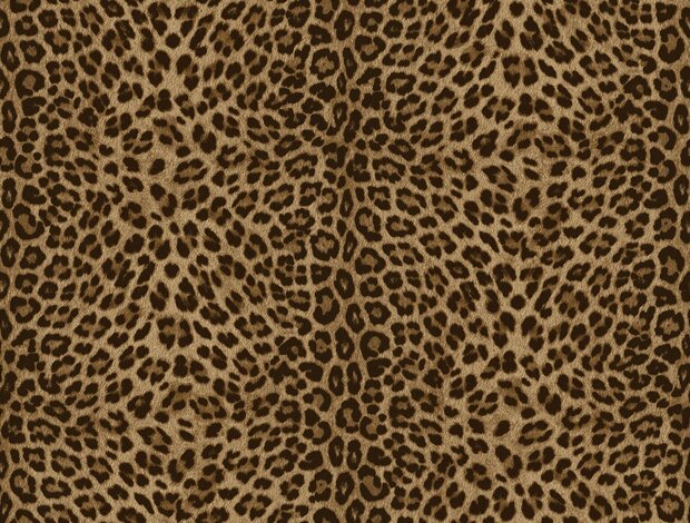 Dutch Wall Decor Philipp Plein 2 Z81029