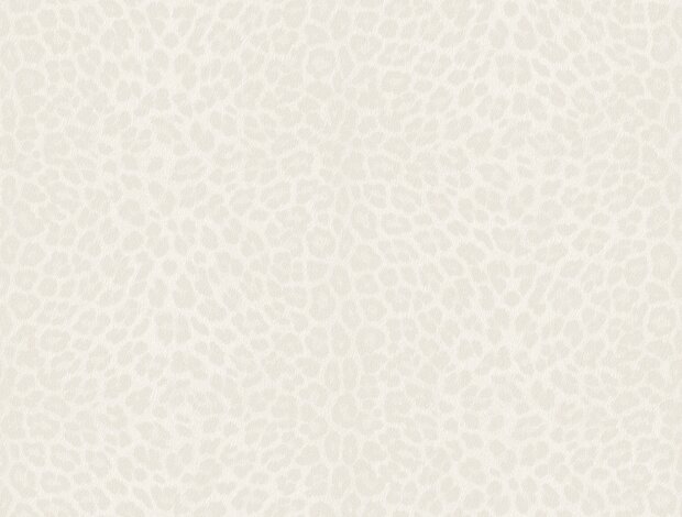 Dutch Wall Decor Philipp Plein 2 Z81030