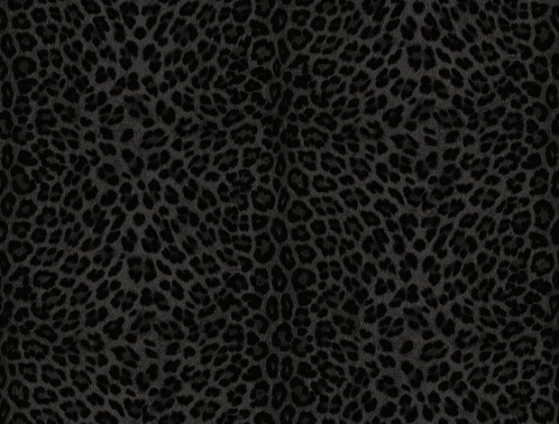 Dutch Wall Decor Philipp Plein 2 Z81031