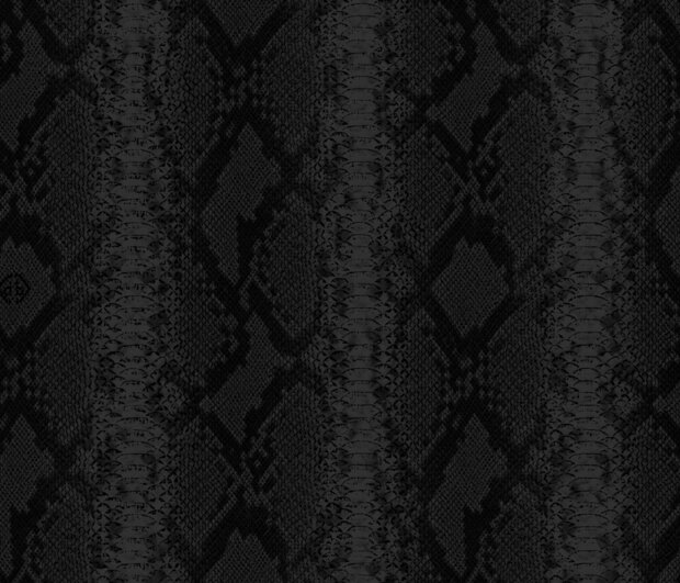 Dutch Wall Decor Philipp Plein 2 Z81034