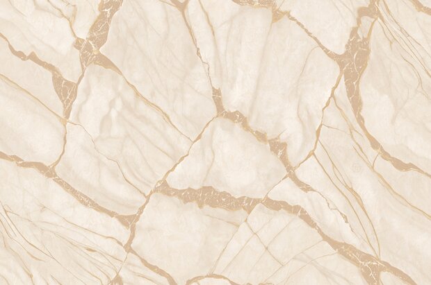 Dutch Wall Decor Philipp Plein 2 Z81040