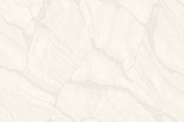 Dutch Wall Decor Philipp Plein 2 Z81042