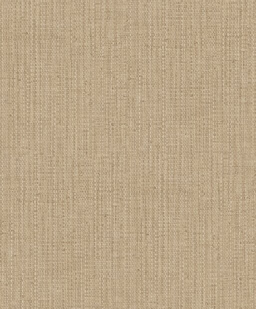 HookedOnWalls BOSSA NOVA 22400 SUMA