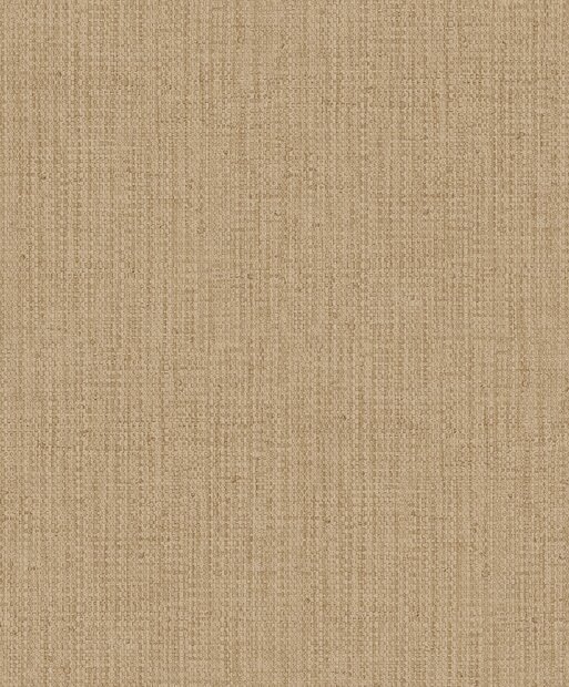 HookedOnWalls BOSSA NOVA 22401 SUMA