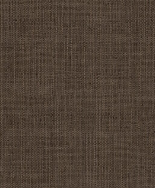 HookedOnWalls BOSSA NOVA 22405 SUMA