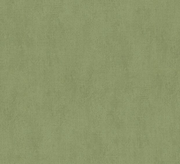 HookedOnWalls ORFEO 35271 TESSITURA