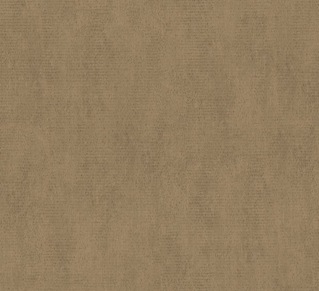 HookedOnWalls ORFEO 35272 TESSITURA