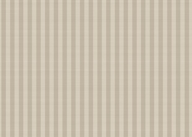 HookedOnWalls STRIPES &amp; STRIPES 90775 PASKI